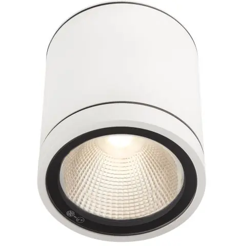 Hide-a-Lite Milo XL Down Downlight Kundfavorit