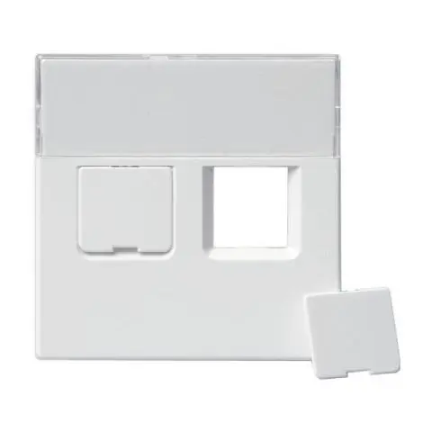 ABB 1819-84 Centrumplatta Premium