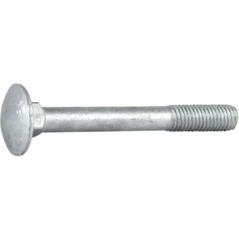 Endast idag ESSVE 61090071 Vagnsbult
