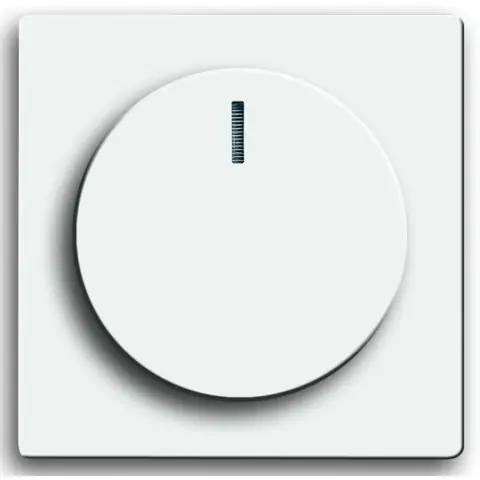 ABB 2CKA006599A3037 Centrumplatta Handla nu