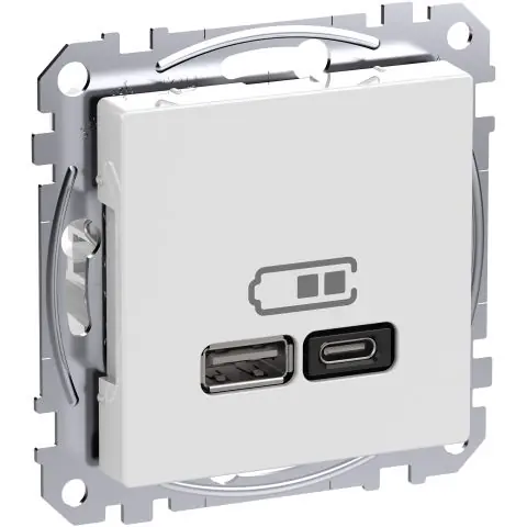 Schneider Electric Exxact WDE002983 USB-Ladduttag Billig